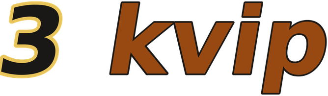 3 kvip logo